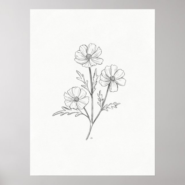 Utskrift av Cosmo Pencil Teckning Art Poster (Framsidan)