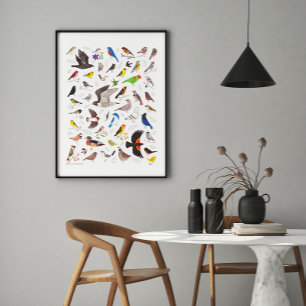 Utskrift av fågelbild poster