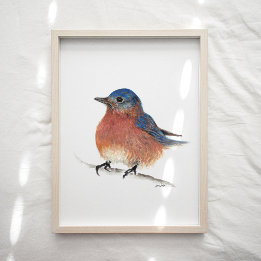 Utskrift av färgsfärg för Cute Bluebird Poster