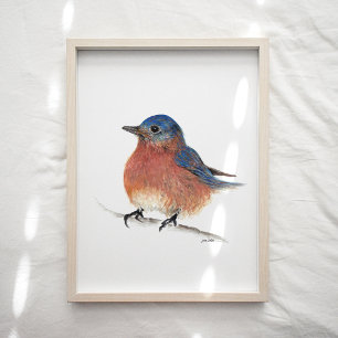 Utskrift av färgsfärg för Cute Bluebird Poster