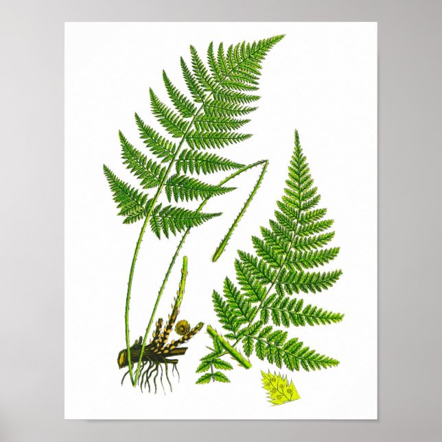 Utskrift av fernernumrnummer 10 för heminredning poster (Framsidan)