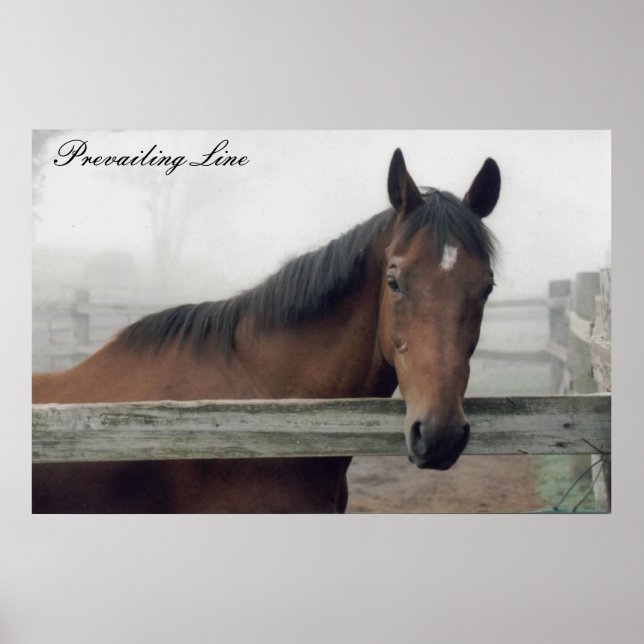 Utskrift av föregående rad poster (Framsidan)