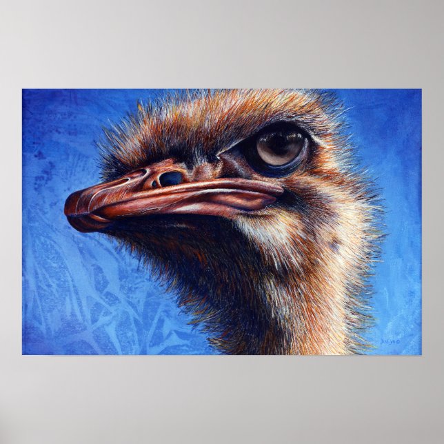 Utskrift av Fugley Ostrich Poster (Framsidan)
