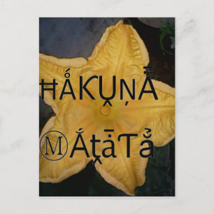 Utskrift av Golden Star Hakuna Matata Art Vykort
