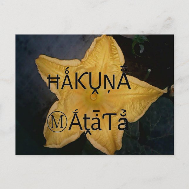 Utskrift av Golden Star Hakuna Matata Art Vykort (Framsida)