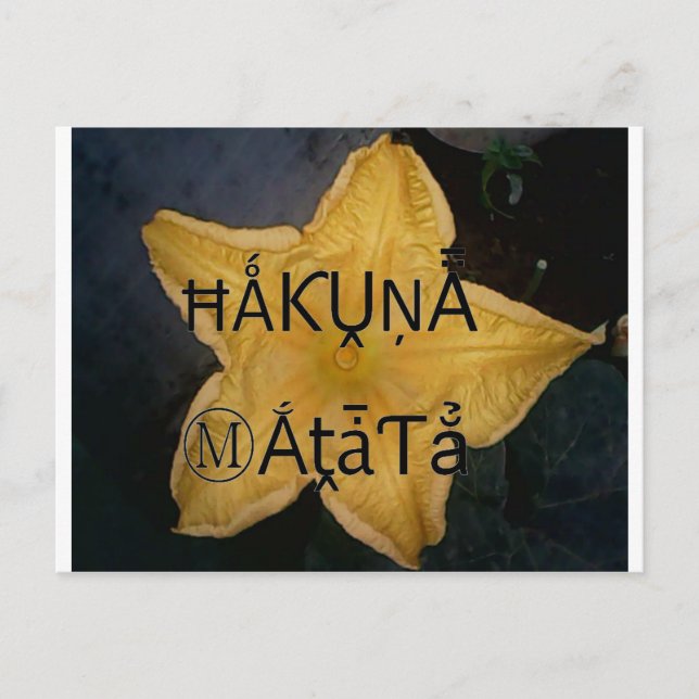 Utskrift av Golden Star Hakuna Matata Art Vykort (Framsida)
