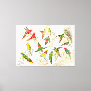 Utskrift av guld Lorikeet Parrot Birds Wrapped Can Canvastryck