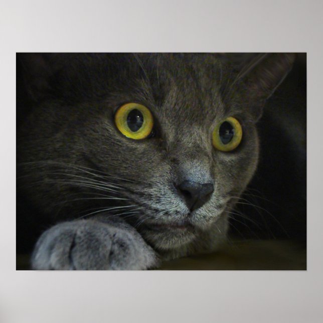 Utskrift av intensitet poster (Framsidan)