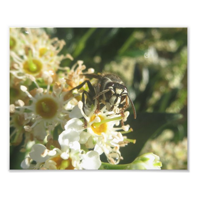 Utskrift av konfektionerat hornet fototryck (Framsidan)