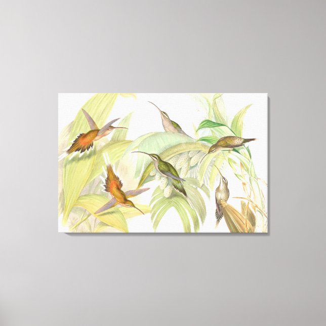 Utskrift av oulds Hummingbird Wrapped Canvas (Framsida)