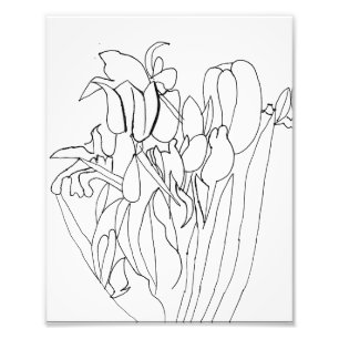 Utskrift av radblommor Teckning Fototryck