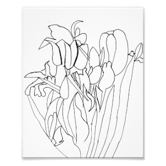 Utskrift av radblommor Teckning Fototryck