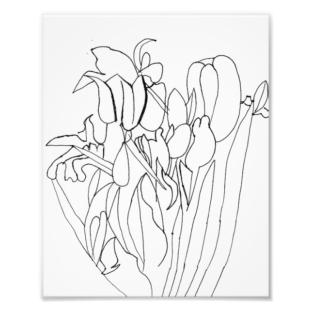 Utskrift av radblommor Teckning Fototryck (Framsidan)
