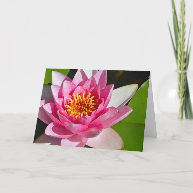 Utskrift av rosa vatten lily blommigt kort (Framsida)
