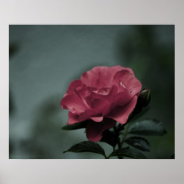  utskrift av royal poster