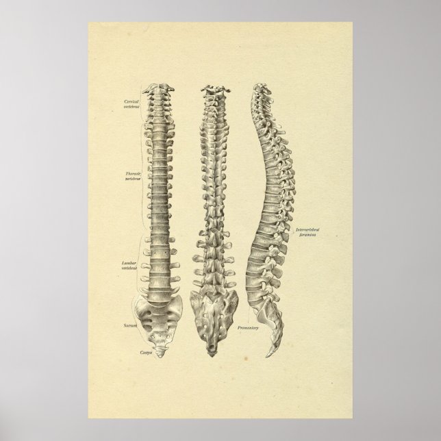 Utskrift av spaltstenspolspets poster (Framsidan)