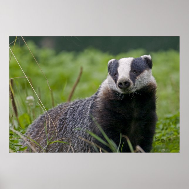 Utskrift av större poster (Framsidan)