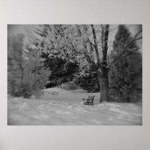 Utskrift av svartvit vinter-parken poster