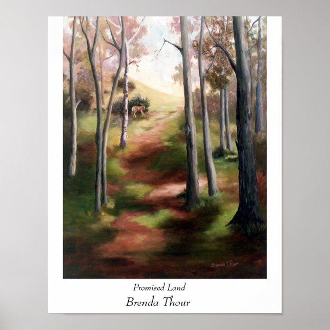 Utskrift av utlovat markområde Poster utskrift (Framsidan)