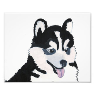 Utskrift av Venus-Valp Fototryck