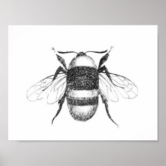 Utskrift av vintage poster