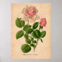 Utskrift av vintage Ro Poster