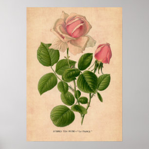 Utskrift av vintage Ro Poster
