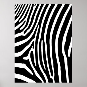 Utskrift av Zebra Rand (svartvitt) Poster