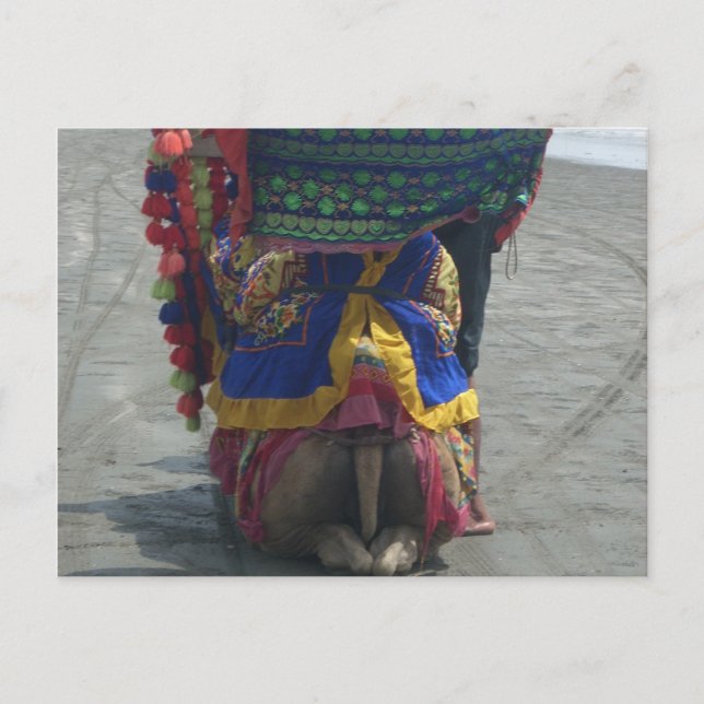 Utskrift/grafik av filmkameror vykort (Framsida)