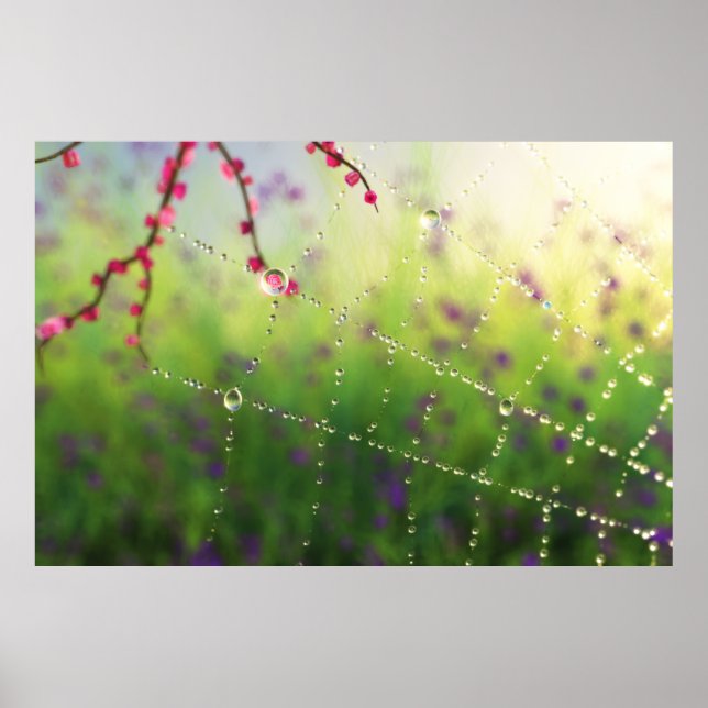 Utskrift i Vår på morgonen Poster (Framsidan)