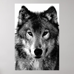Utskrift Poster av grått Varg