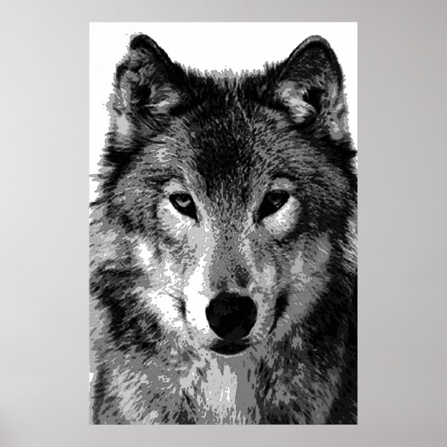Utskrift Poster av grått Varg (Framsidan)
