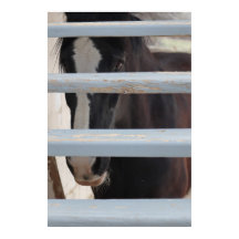 Utskrift, värdeaffischpapper (halvblank)