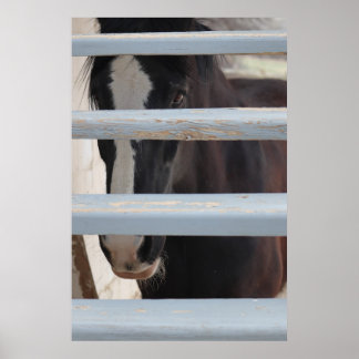 Utskrift, värdeaffischpapper (halvblank) poster