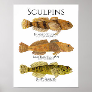 Utskrift, Värdeaffischpapper (Matte) Poster