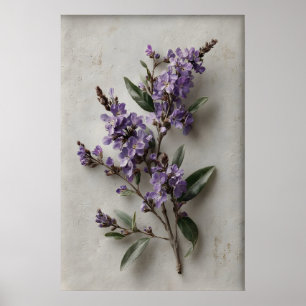 Utskriftbar Dampiera Väggkonst, Antik Blomma Vår Poster
