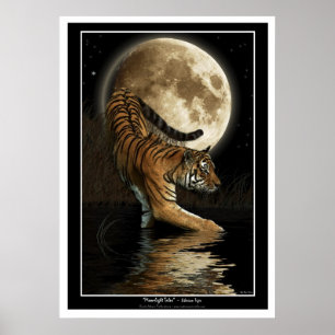 Utskrifter och Poster med Bengal Tiger & Måne Art