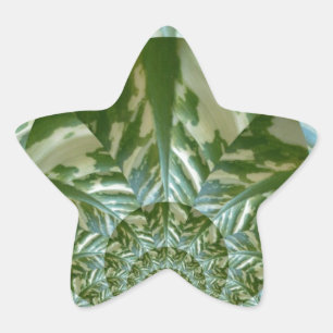 Utskriftsdesign för Eco Grönt Camo Kaleidoscope Ar Stjärnformat Klistermärke