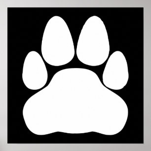 Utskriftsform för vit katt poster