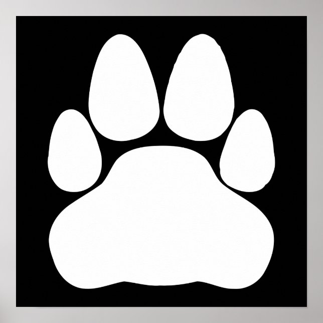 Utskriftsform för vit katt poster (Framsidan)