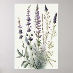Utskriftsformat för Lavender Flowers Art Poster