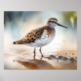 Utskriftsformat för Sandpiper Bird Art Poster