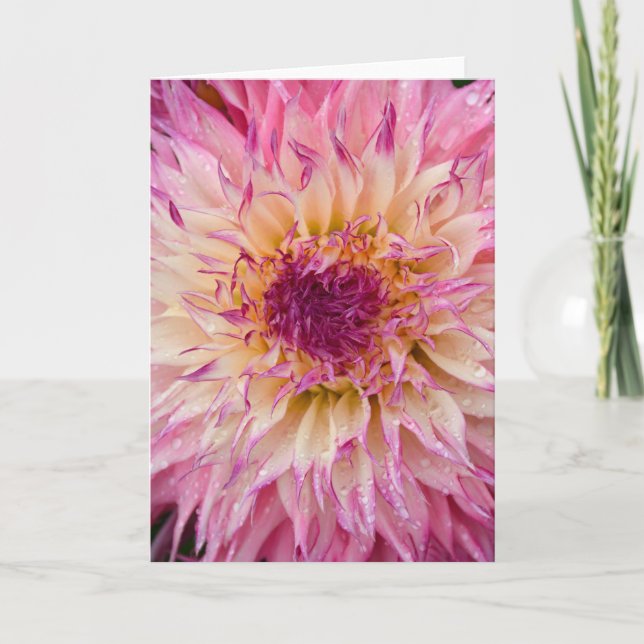 Utskriftshälsningskort för Dahlia-blommigt med en  Kort (Framsida)