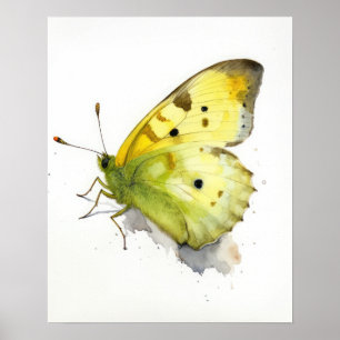 Utskriftsprodukter för svavel Butterfly Art Poster