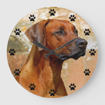 Utskriftstid för Rhodesian Ridgeback Hund Paw