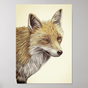 Utskriftsutseende för A4 Red Fox Pencil Teckning v Poster