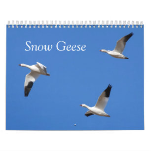 Utskrivaven kalender för snögäss anpassningsbar