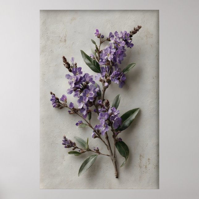 Utskrivbar Dampiera-väggkonst, Antik blomma vår Poster (Framsidan)