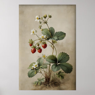 Utskrivbar jordgubbsväggkonst, Antik Poster