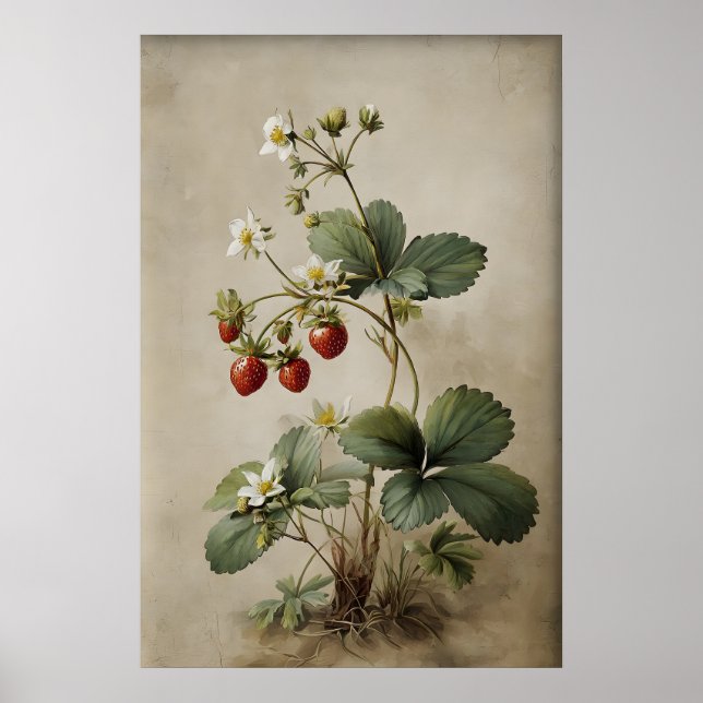Utskrivbar jordgubbsväggkonst, Antik Poster (Framsidan)
